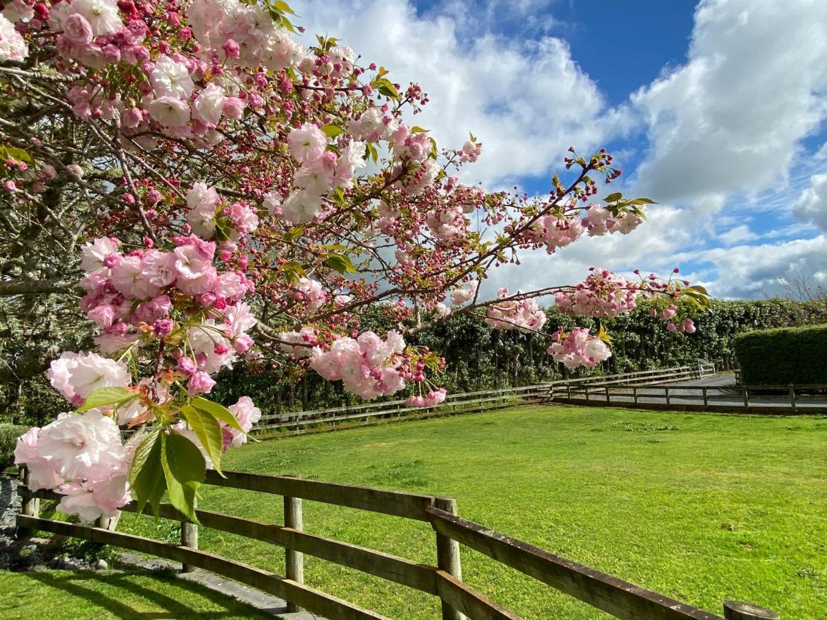 Bed and Breakfast Unique Equestrian Lifestyle Tamahere Zewnętrze zdjęcie