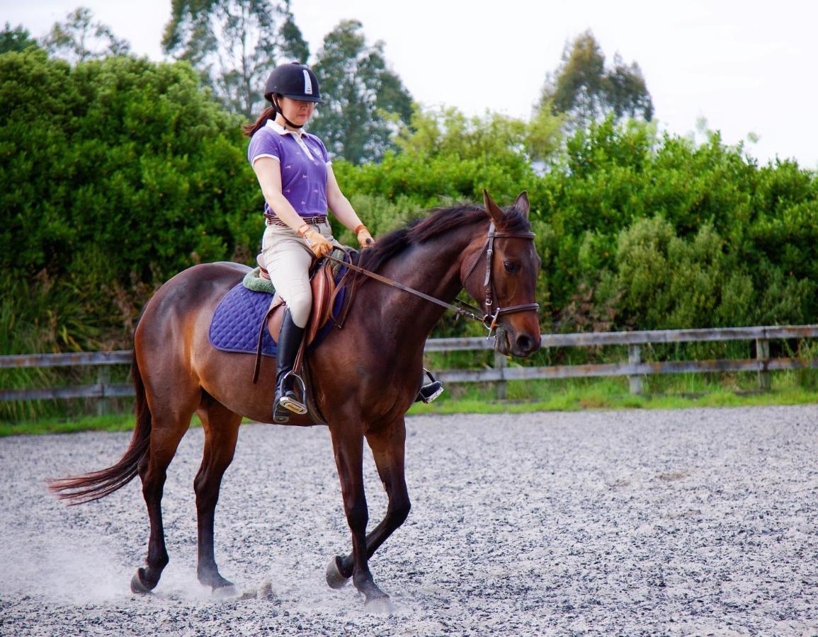 Bed and Breakfast Unique Equestrian Lifestyle Tamahere Zewnętrze zdjęcie