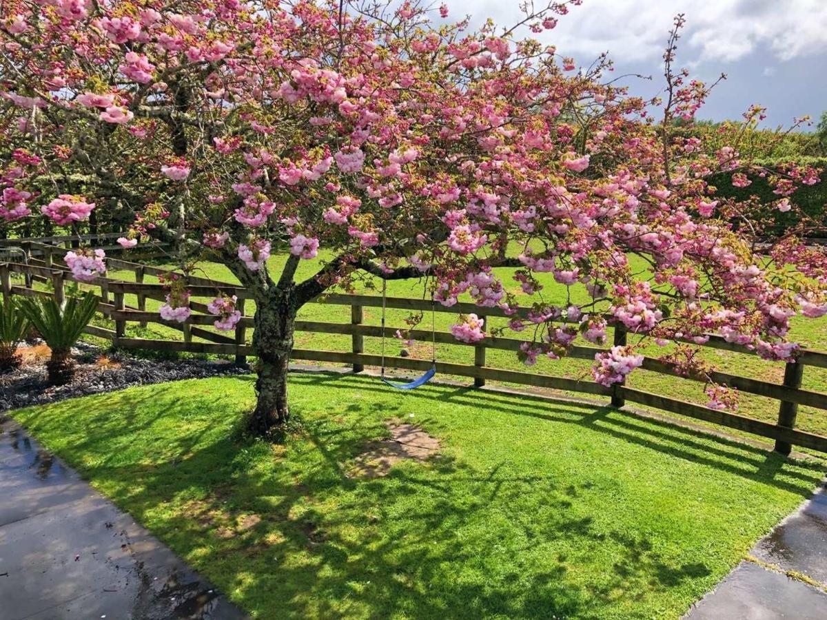 Bed and Breakfast Unique Equestrian Lifestyle Tamahere Zewnętrze zdjęcie