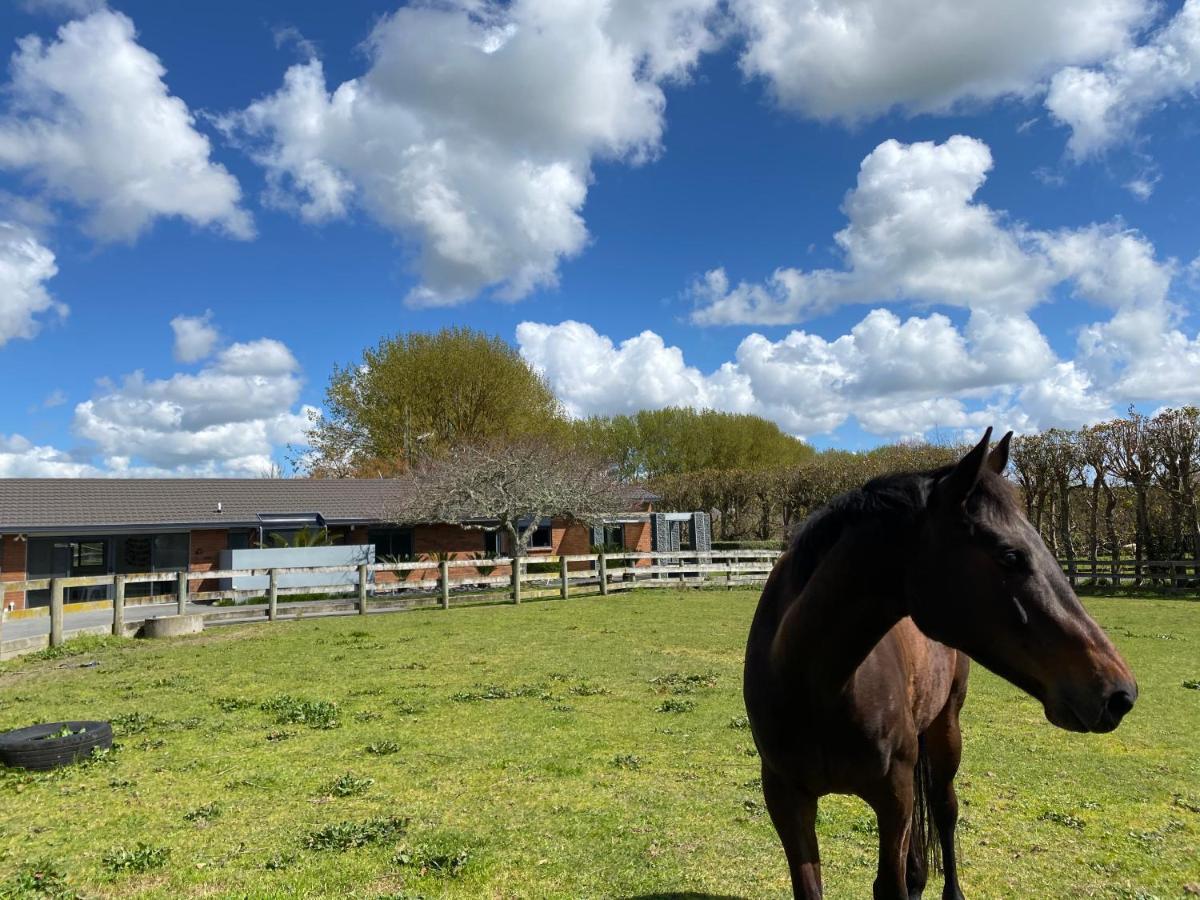 Bed and Breakfast Unique Equestrian Lifestyle Tamahere Zewnętrze zdjęcie