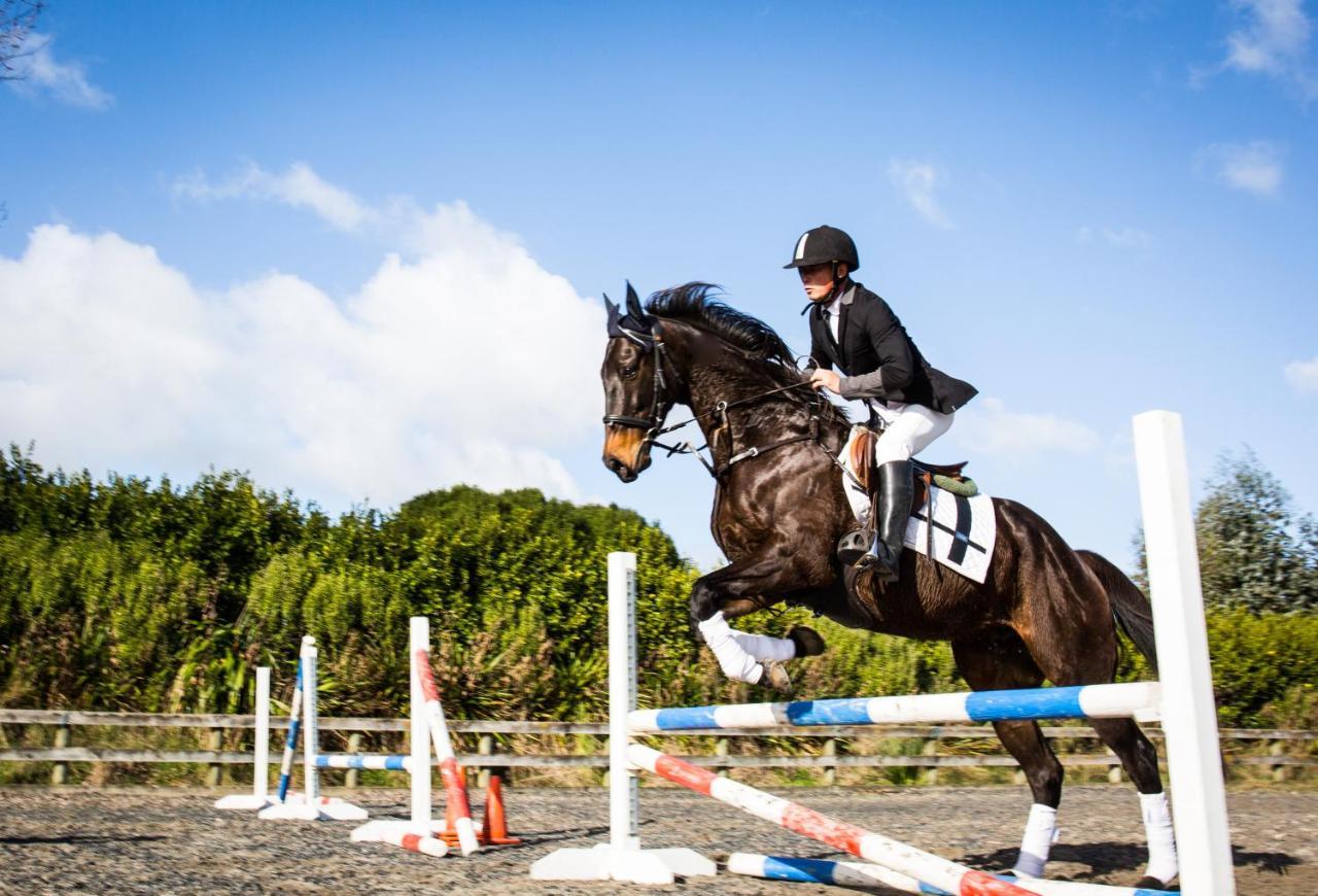 Bed and Breakfast Unique Equestrian Lifestyle Tamahere Zewnętrze zdjęcie