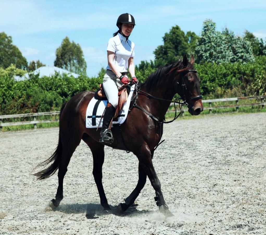 Bed and Breakfast Unique Equestrian Lifestyle Tamahere Zewnętrze zdjęcie