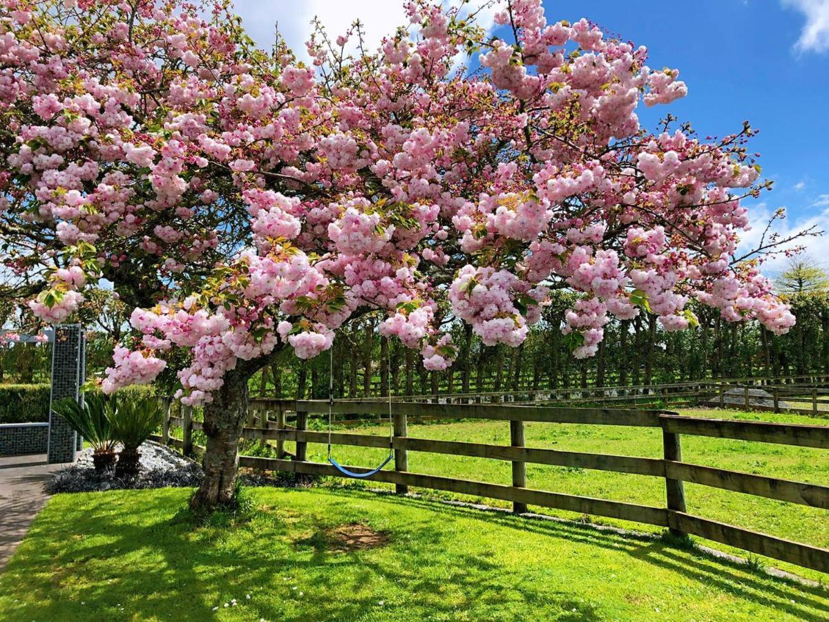 Bed and Breakfast Unique Equestrian Lifestyle Tamahere Zewnętrze zdjęcie