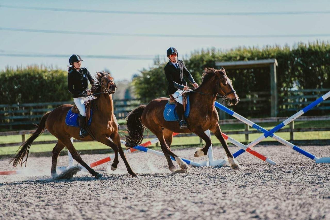 Bed and Breakfast Unique Equestrian Lifestyle Tamahere Zewnętrze zdjęcie