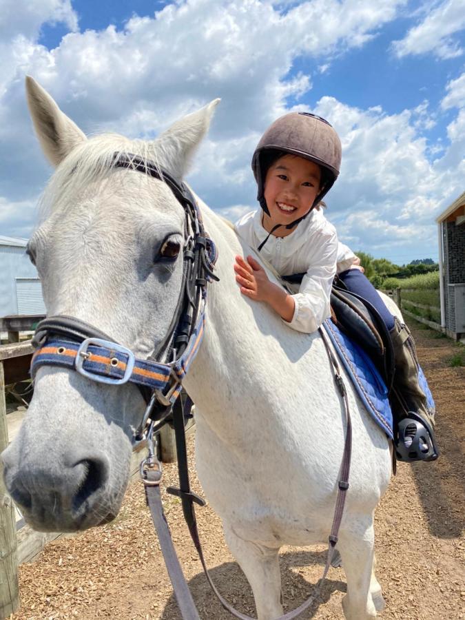 Bed and Breakfast Unique Equestrian Lifestyle Tamahere Zewnętrze zdjęcie